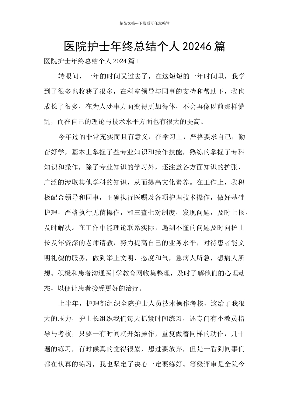 医院护士年终总结个人20246篇_第1页