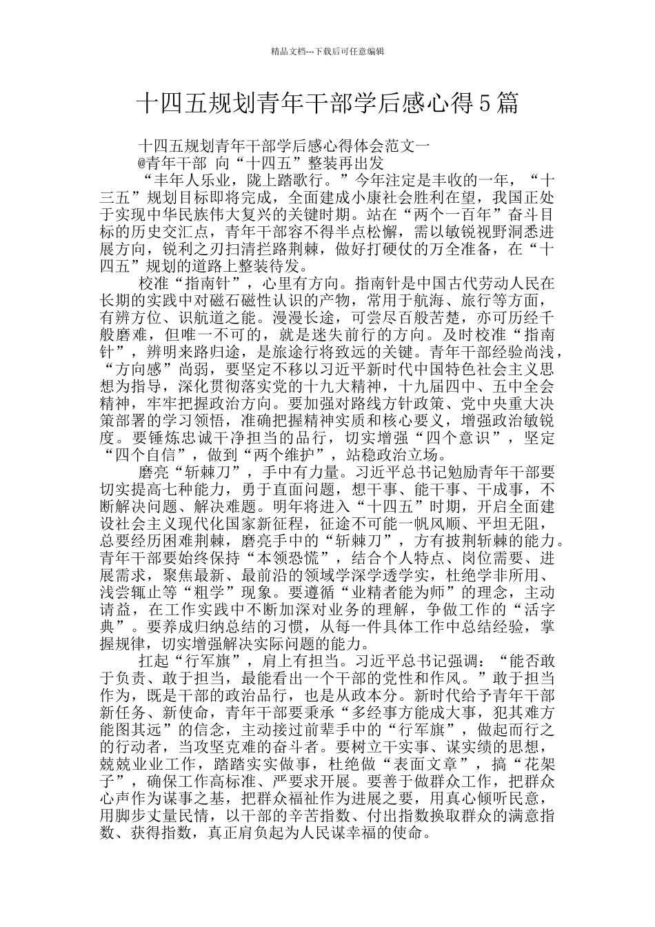 十四五规划青年干部学后感心得5篇_第1页