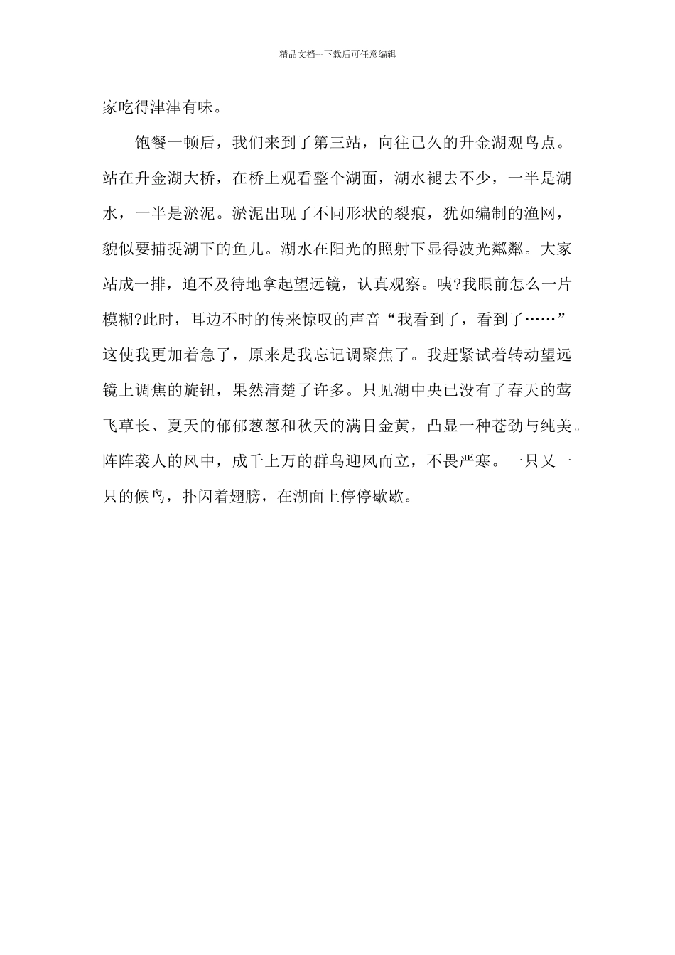 升金湖观鸟记_第2页