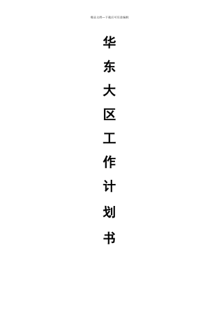 华东大区计划书