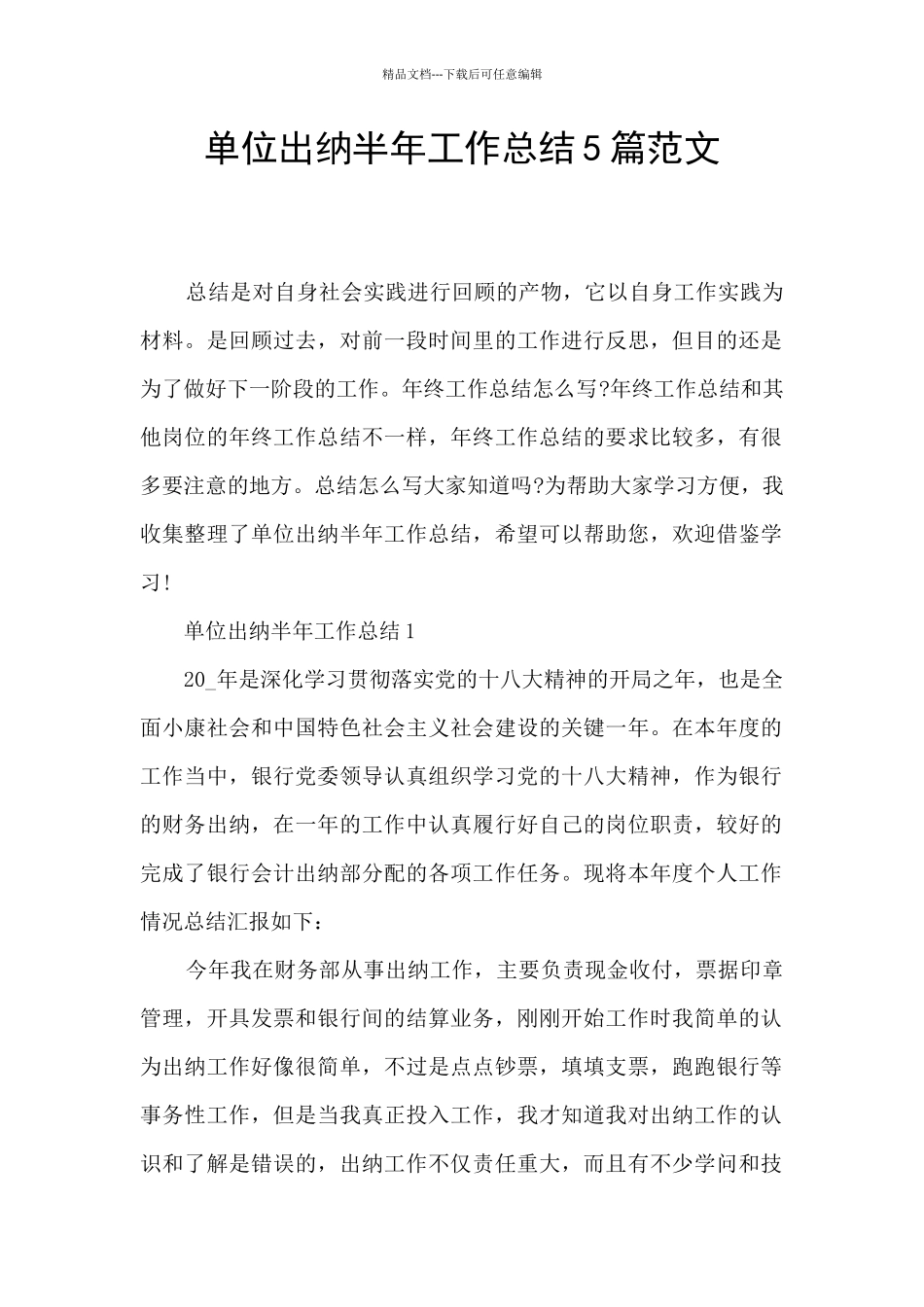 单位出纳半年工作总结5篇范文_第1页