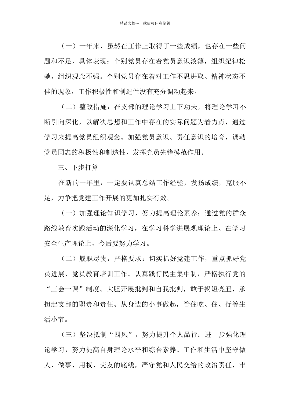 卫生院党支部班子述职报告_第3页