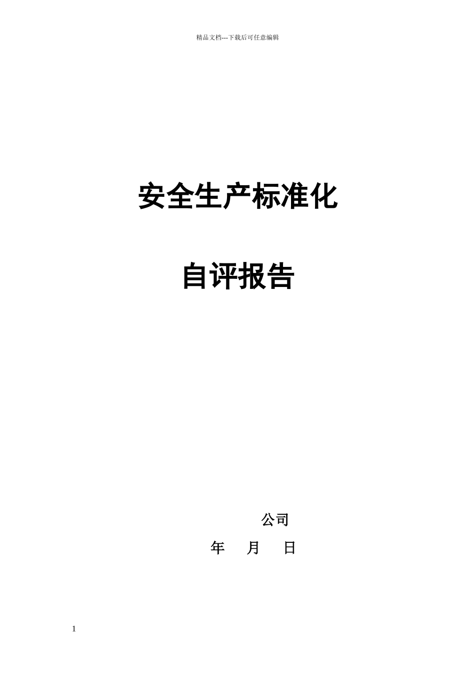 危险品运输企业安全标准化自评报告_第1页