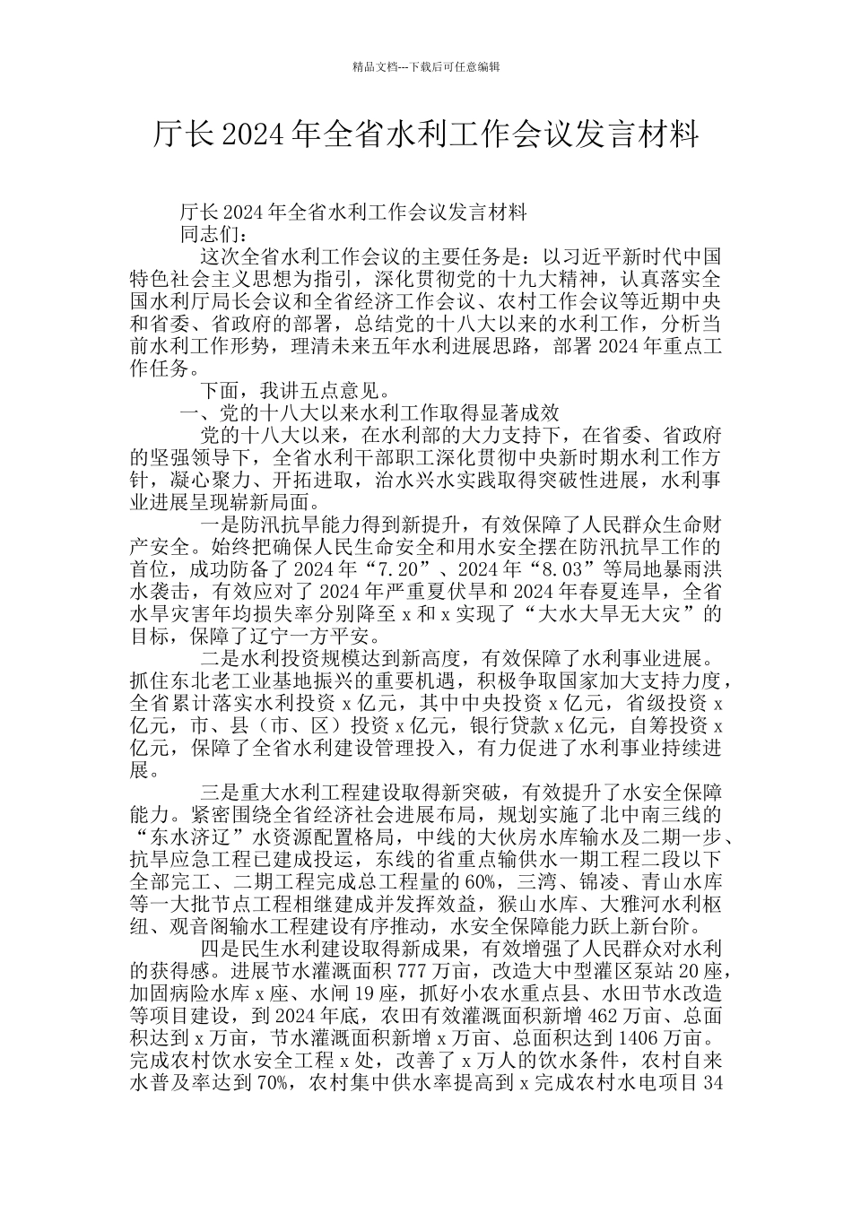 厅长2024年全省水利工作会议发言材料_第1页