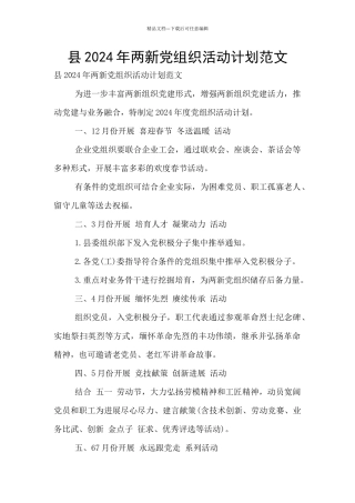 县2024年两新党组织活动计划范文