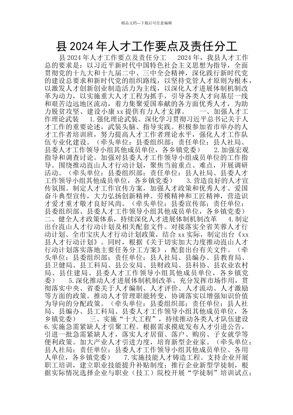 县2024年人才工作要点及责任分工_第1页