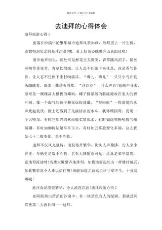 去迪拜的心得体会