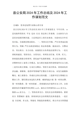 县公安局2024年工作总结及2024年工作谋划范文