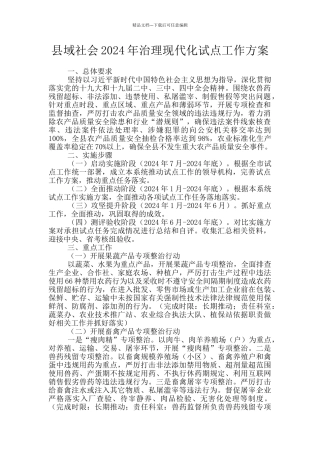 县域社会2024年治理现代化试点工作方案