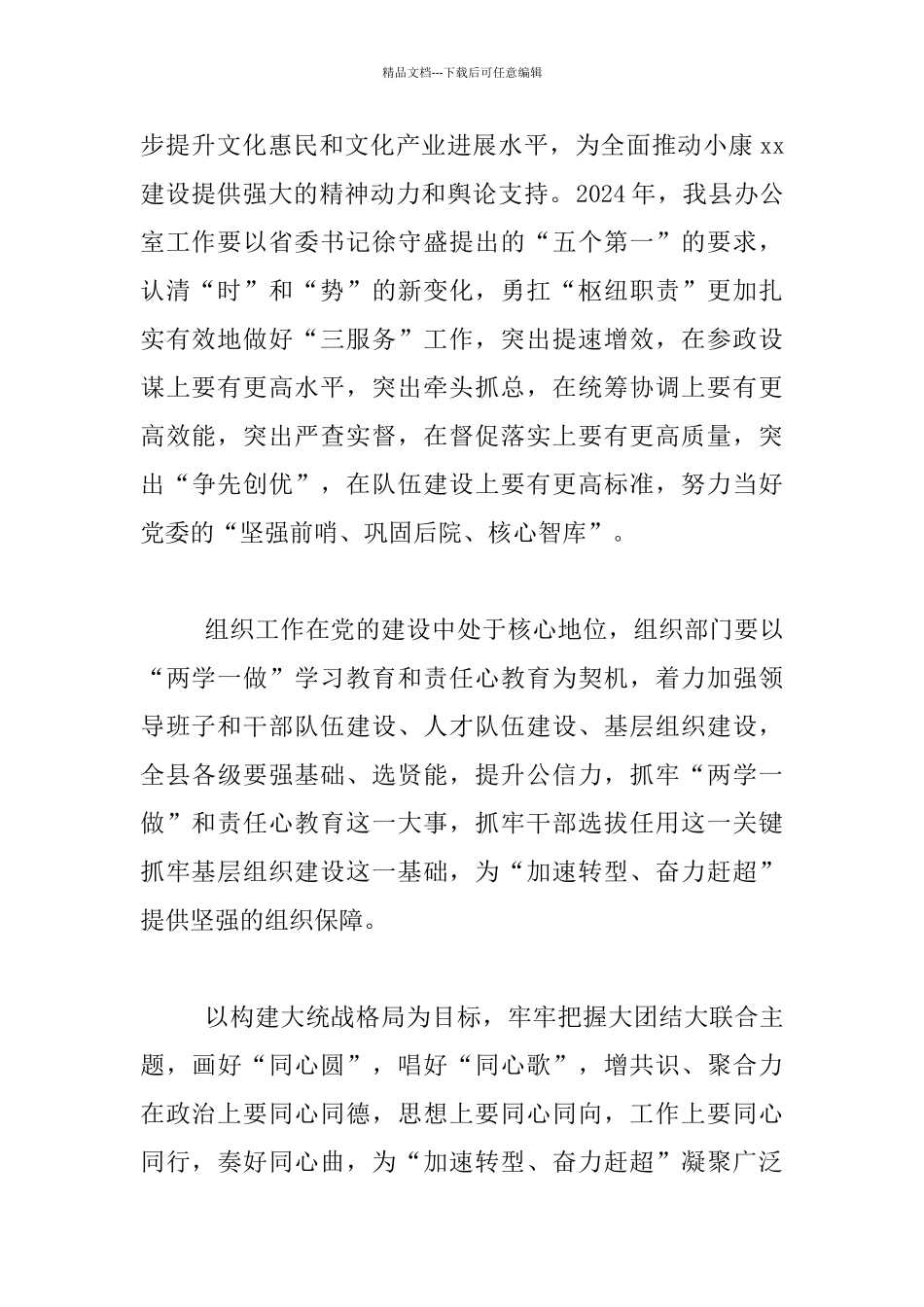 县委副书记2024年党务工作会议发言稿_第2页