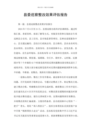 县委巡察整改效果评估报告