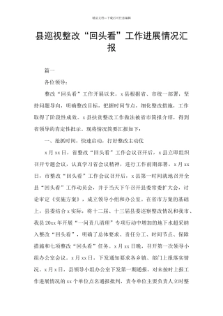 县巡视整改“回头看”工作进展情况汇报