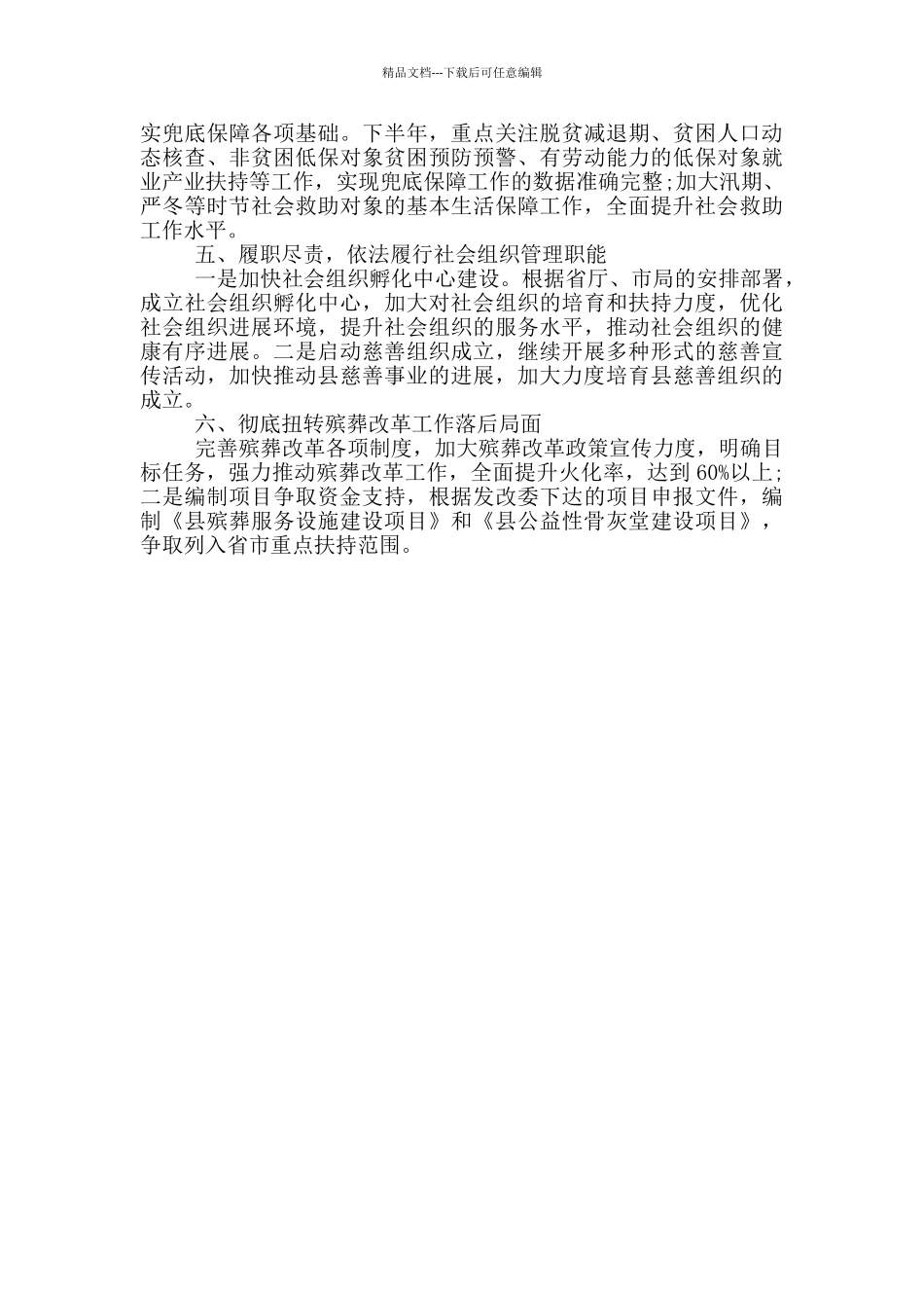 县民政局2024年下半年工作计划_第2页