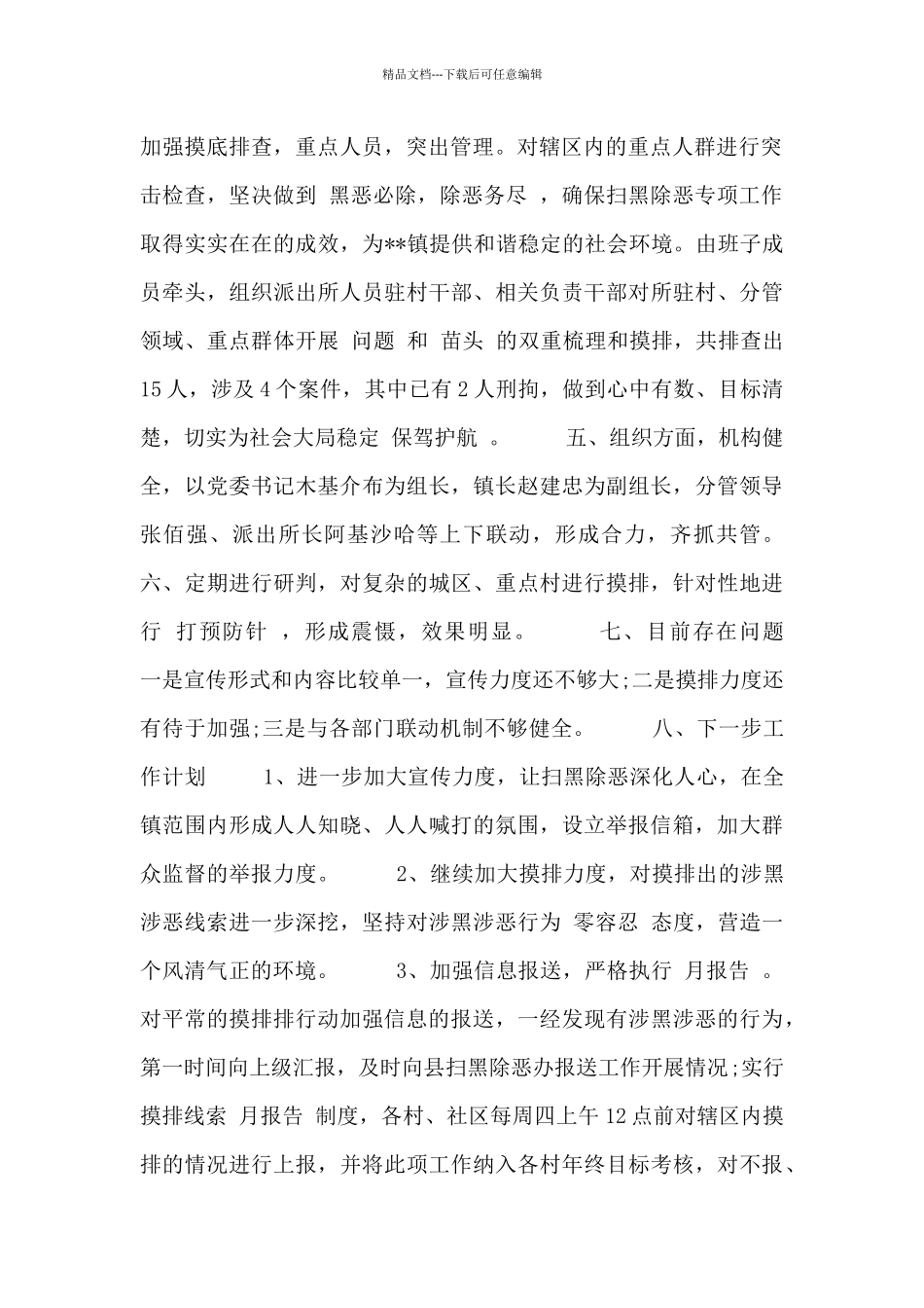县级扫黑除恶年度总结_第2页