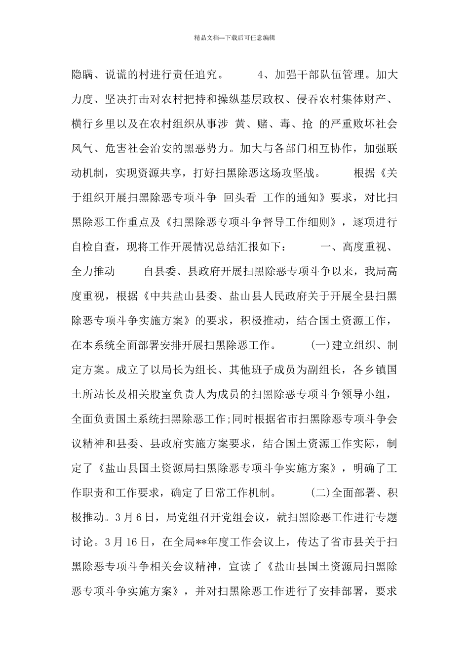 县级扫黑除恶年度总结_第3页