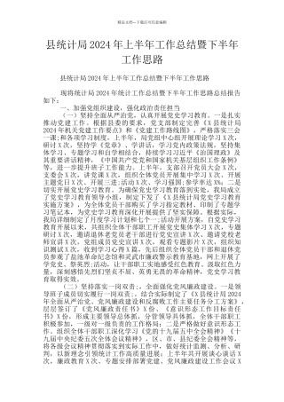 县统计局2024年上半年工作总结暨下半年工作思路