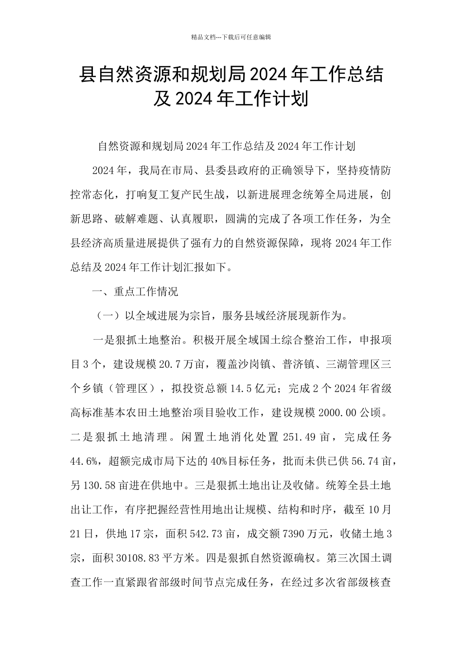 县自然资源和规划局2024年工作总结及2024年工作计划_第1页