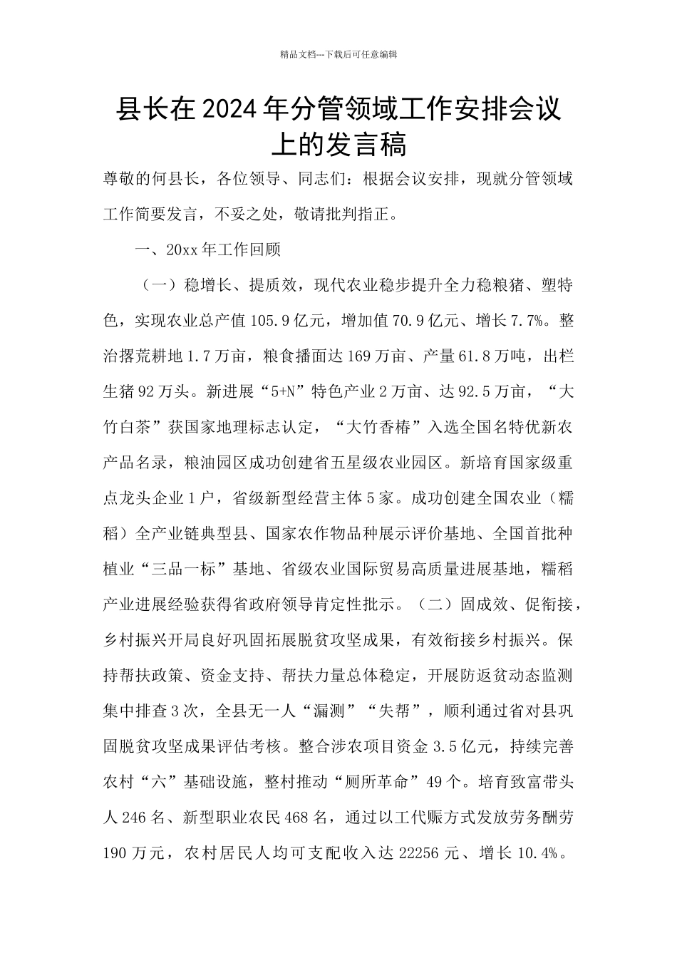 县长在2024年分管领域工作安排会议上的发言稿_第1页