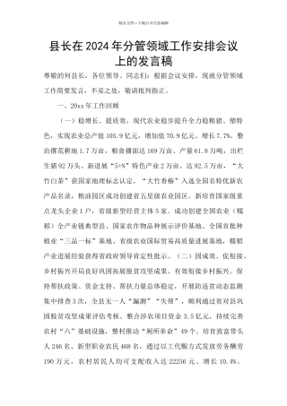 县长在2024年分管领域工作安排会议上的发言稿