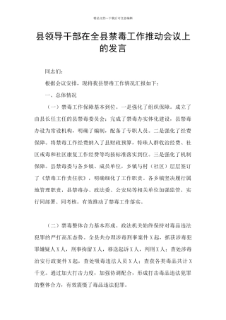 县领导干部在全县禁毒工作推进会议上的发言