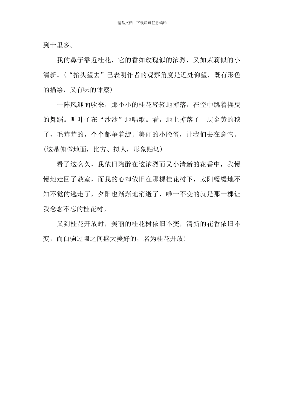 又到桂花开放时-写景作文700字_第2页