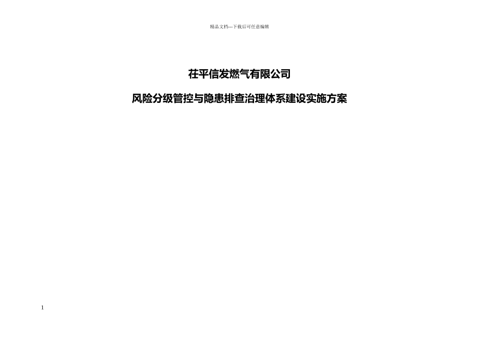 双体系建设实施方案_第1页