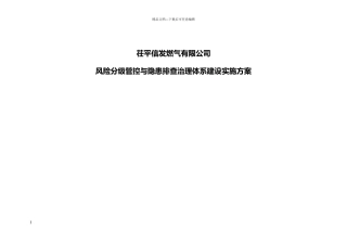 双体系建设实施方案
