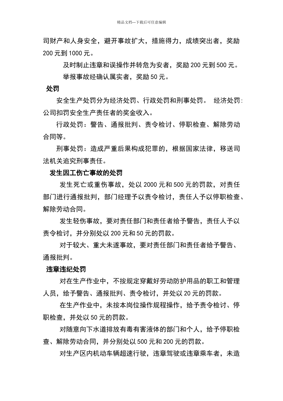 双体系建设考核奖惩管理制度_第3页