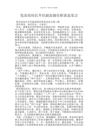 发改局局长升任副县级任职表态发言