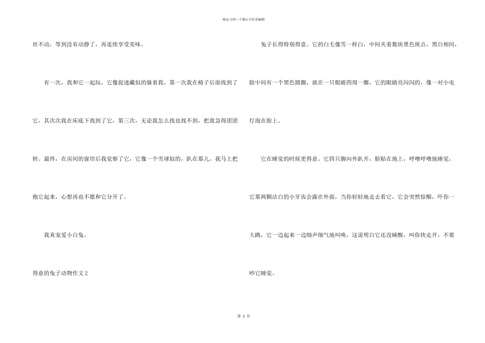 可爱的兔子动物_第2页