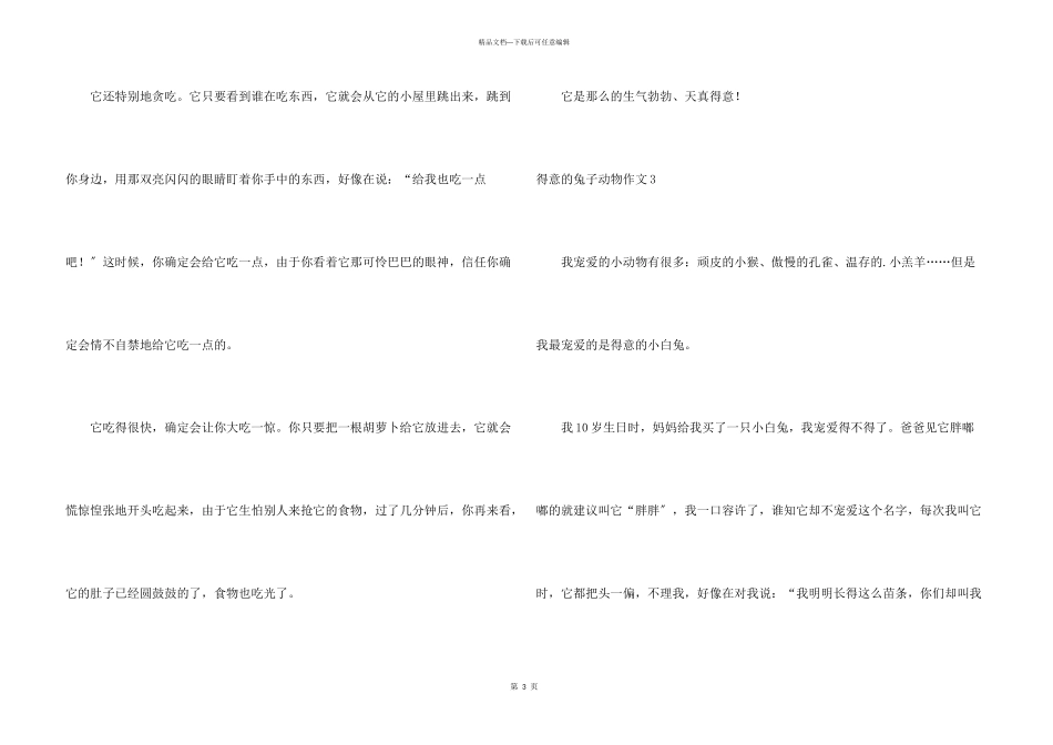 可爱的兔子动物_第3页