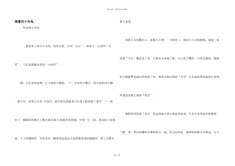 可爱的小乌龟_第1页