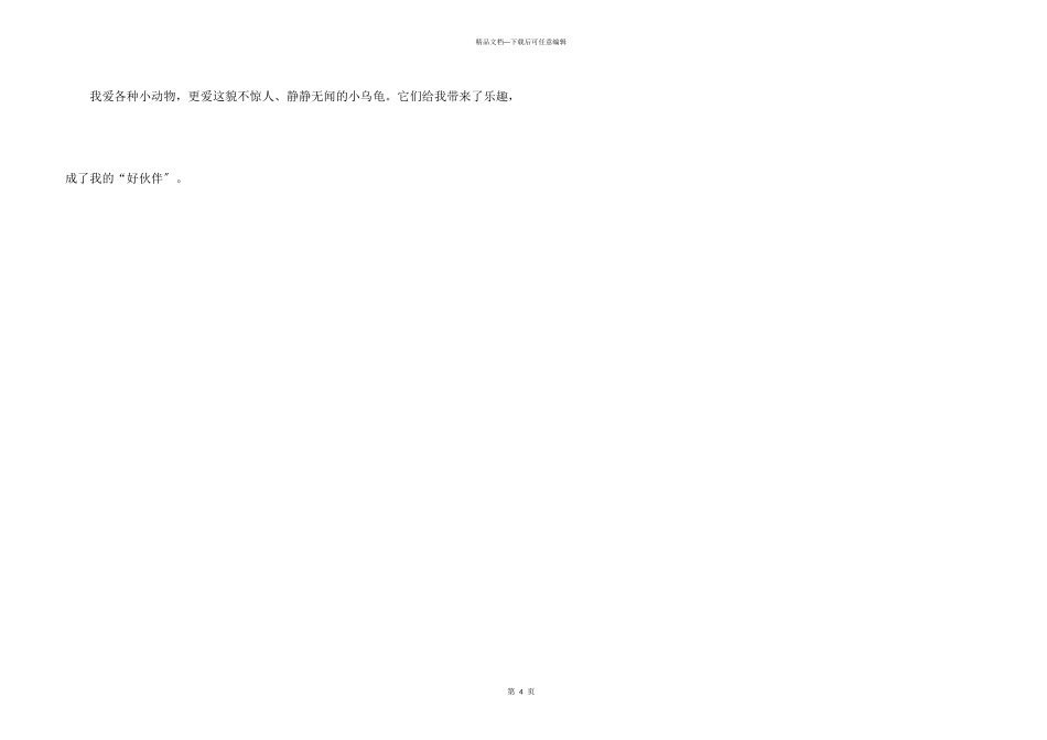 可爱的小乌龟_第3页