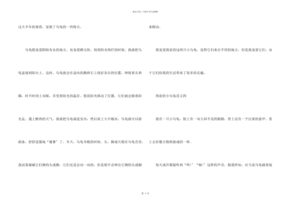 可爱的小乌龟小学10篇_第3页