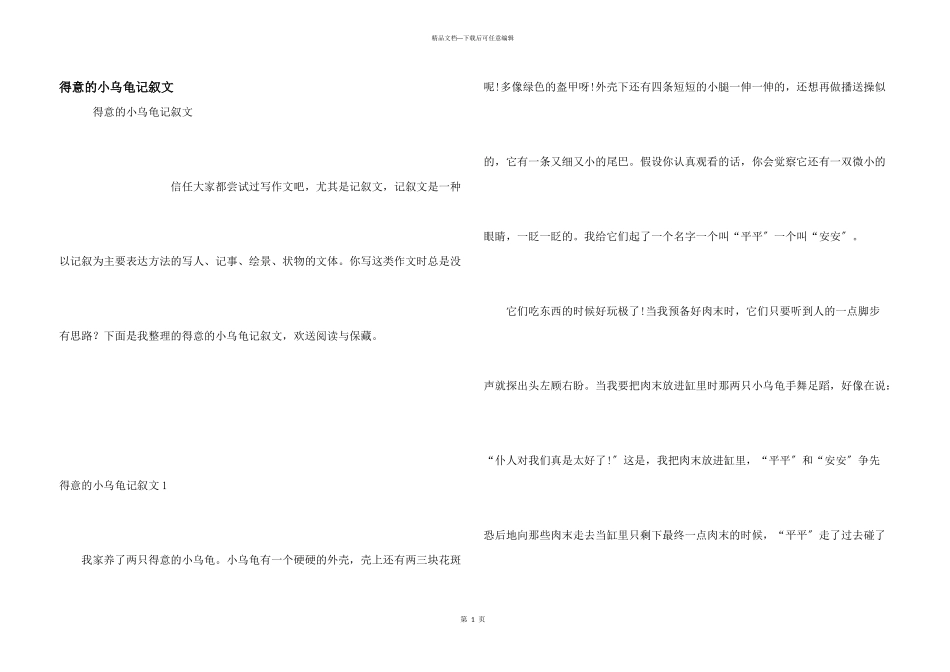 可爱的小乌龟记叙文_第1页