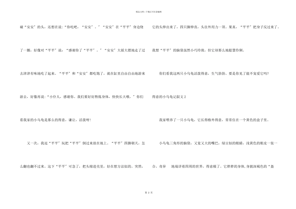 可爱的小乌龟记叙文_第2页