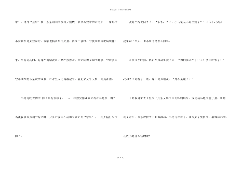 可爱的小乌龟记叙文_第3页