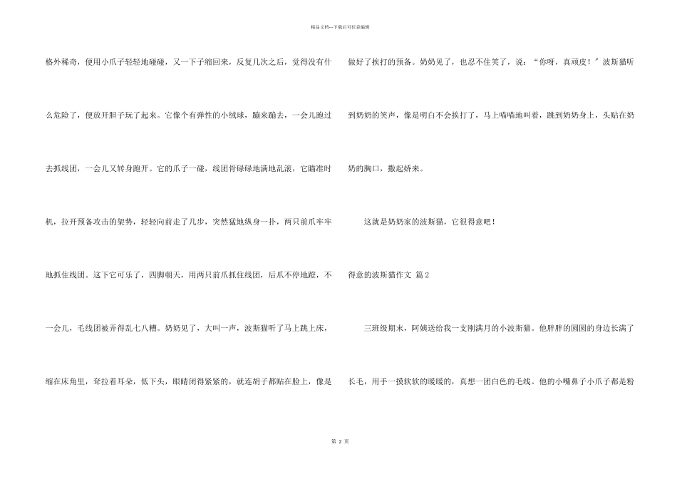 可爱的波斯猫合集五篇_第2页