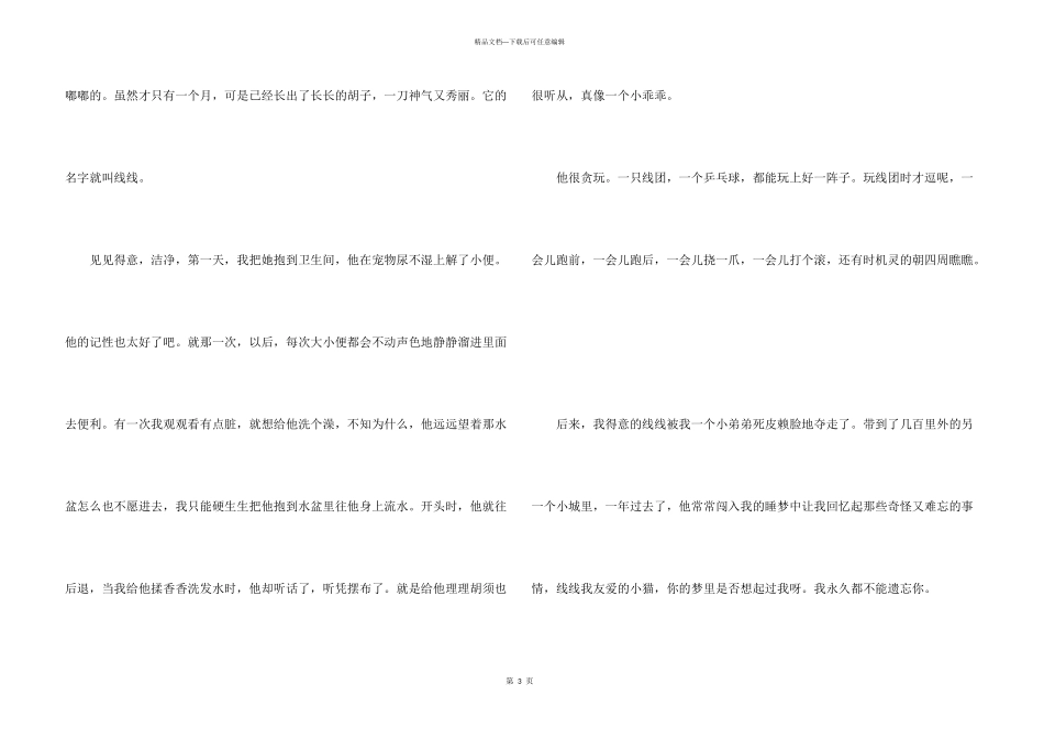 可爱的波斯猫合集五篇_第3页