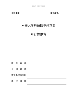 可行性分析报告(企业)