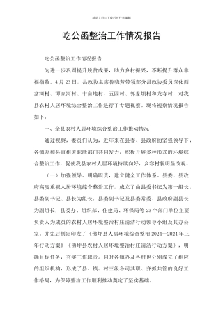 吃公函整治工作情况报告