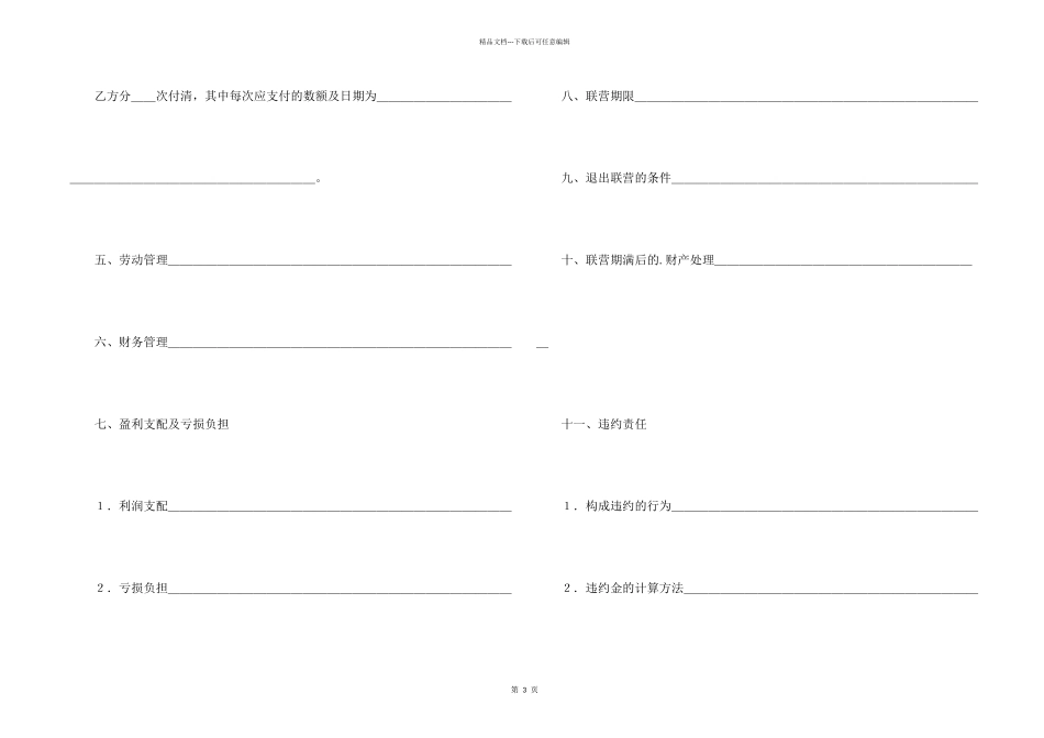 合伙型联营合同样式_第2页