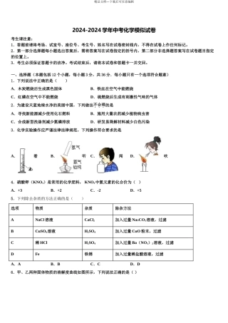 吉林省延边重点中学中考化学全真模拟试题含解析