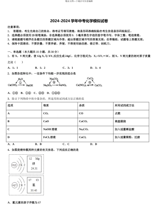 吉林省长春市南关区东北师大附中新城校区中考联考化学试卷含解析