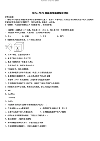 吉林省长春市朝阳区新朝阳实验校中考冲刺卷化学试题含解析