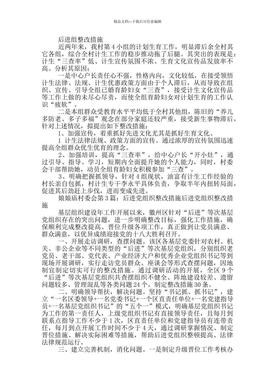 后进党支部整改措施_第3页