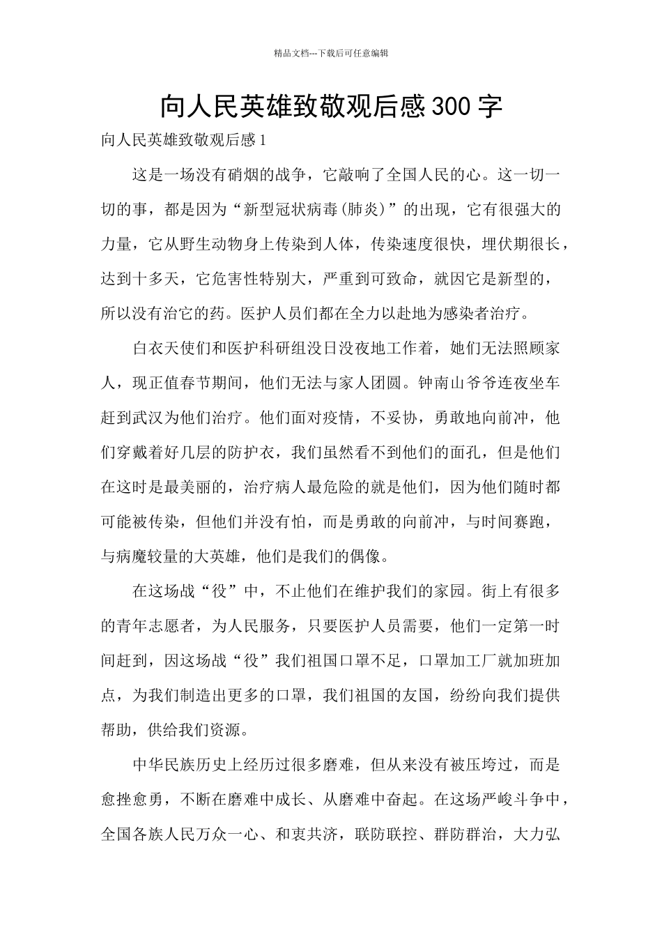 向人民英雄致敬观后感300字_第1页