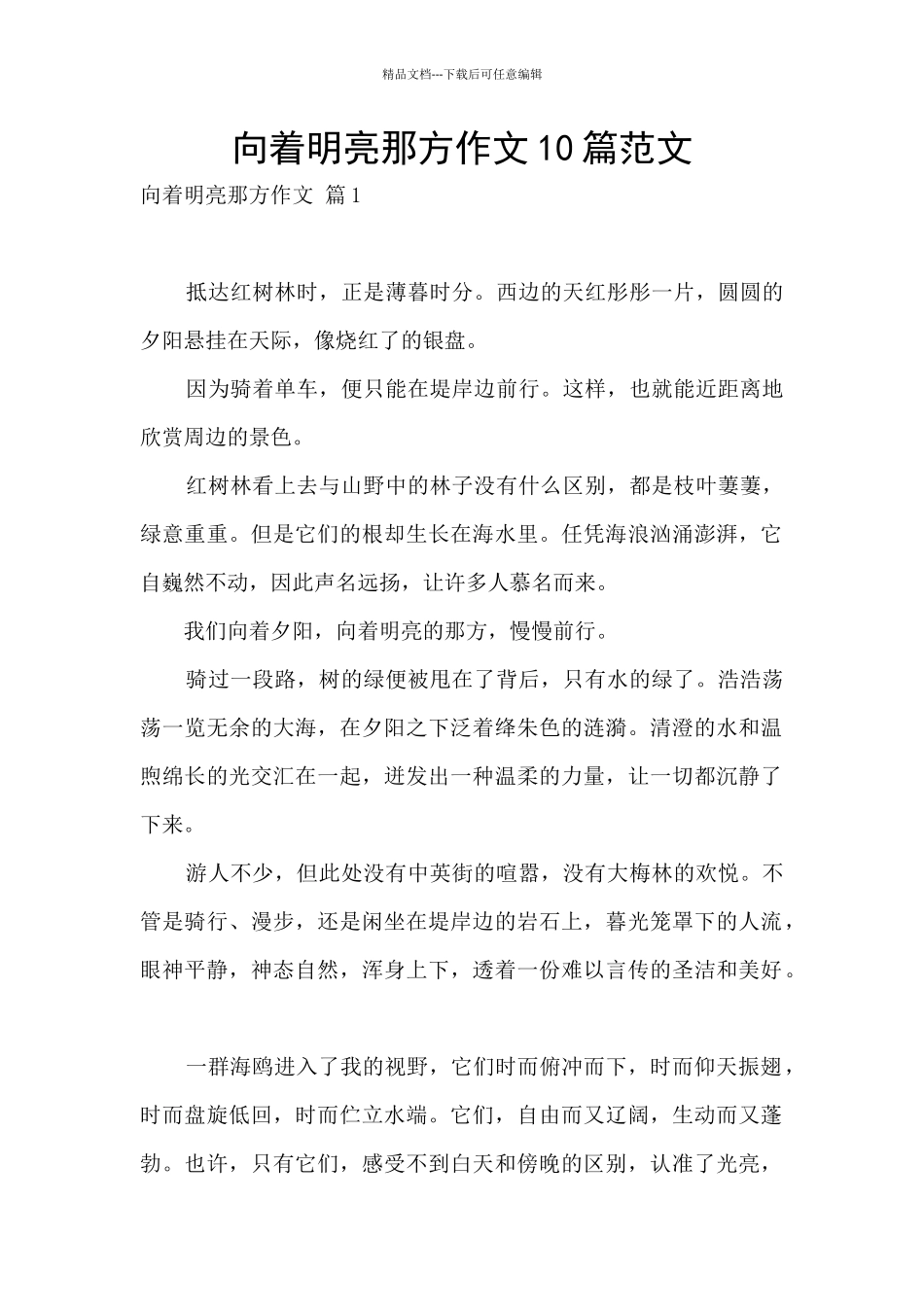 向着明亮那方作文10篇范文_第1页