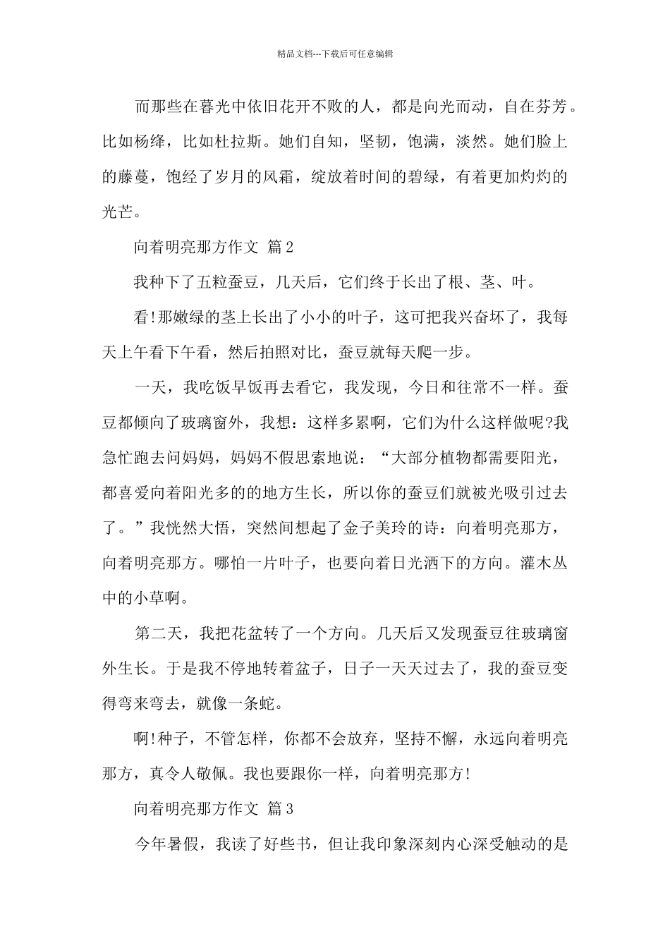 向着明亮那方作文10篇范文_第3页