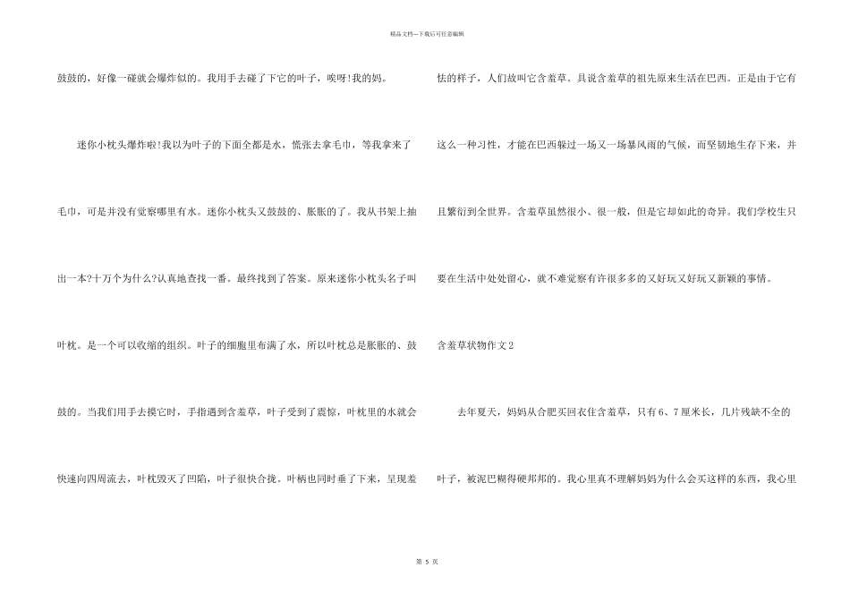 含羞草状物5篇_第2页